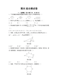 2025-2026学年华师大版数学七年级下册期末 综合测试卷（含答案）
