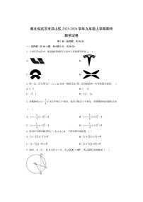 湖北省武汉市洪山区2025-2026学年九年级上学期期中数学试卷（学生版）
