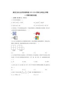 黑龙江省七台河市勃利县2025-2026学年九年级上学期11月期中数学试卷（学生版）