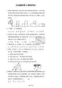 广东省深圳市龙岗区实验学校2025-2026学年上学期九年级数学第15周周末周测试卷（月考）
