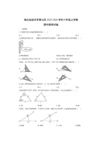 湖北省武汉市青山区2025-2026学年八年级上学期期中数学试卷（学生版）