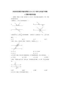天津市东丽区华新共同体2024-2025学年七年级下学期4月期中数学试卷（学生版）