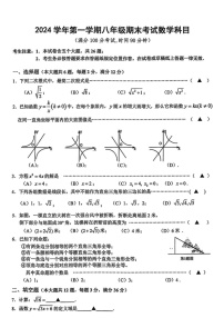 上海市闵行区2024—-2025学年八年级上学期期末数学试题