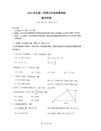上海市嘉定区2024-2025学年九年级上学期期末（一模）数学试题