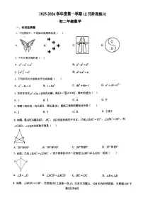 2025北京理工大附中初二（上）12月月考数学试卷 有答案