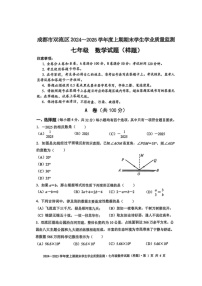 四川省成都市双流2024-2025学年上学期七年级数学期末真题