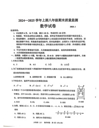 四川省眉山市东坡区2024-2025学年八年级上学期数学期末试卷
