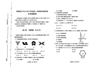 天津市滨海新区2024-2025学年九年级上学期期末考试数学试题