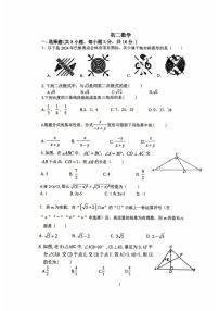 江苏省苏州市姑苏区草桥中学2025-2026学年八年级上学期数学12月月考试卷