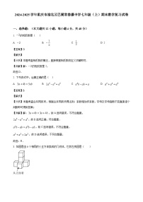 重庆市渝北区巴蜀常春藤中学2024-2025学年七上期末数学试卷（解析版）