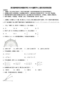 四川省绵阳市东辰国际学校2026届数学七上期末质量检测试题含解析