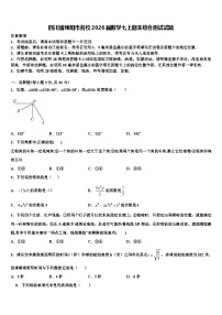 四川省绵阳市名校2026届数学七上期末综合测试试题含解析