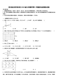 四川省达州市通川区2026届七年级数学第一学期期末监测模拟试题含解析