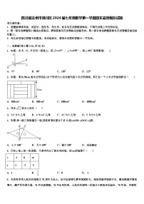 四川省达州市通川区2026届七年级数学第一学期期末监测模拟试题含解析