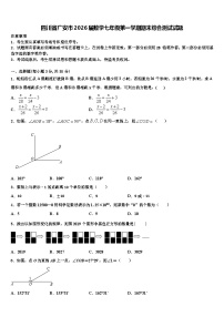 四川省广安市2026届数学七年级第一学期期末综合测试试题含解析