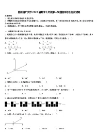 四川省广安市2026届数学七年级第一学期期末综合测试试题含解析