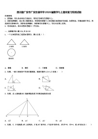 四川省广安市广安友谊中学2026届数学七上期末复习检测试题含解析