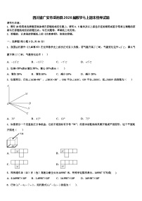四川省广安市岳池县2026届数学七上期末统考试题含解析