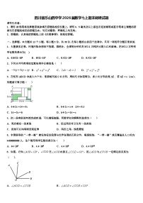 四川省乐山四中学2026届数学七上期末调研试题含解析