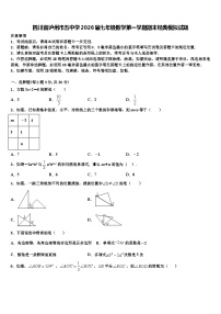 四川省泸州市五中学2026届七年级数学第一学期期末经典模拟试题含解析