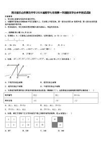 四川省乐山市第五中学2026届数学七年级第一学期期末学业水平测试试题含解析