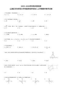 2025~2026学年贵州贵阳观山湖区华东师范大学附属贵阳学校初二上学期期中数学试卷（有答案解析）