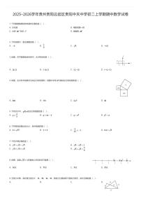 2025~2026学年贵州贵阳云岩区贵阳中天中学初二上学期期中数学试卷（有答案解析）