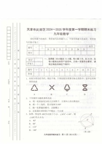 天津市武清区2024-2025学年九年级上学期1月期末数学试题