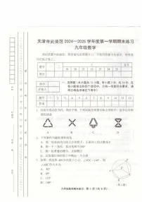 天津市武清区2024-2025学年九年级上学期1月期末数学试题