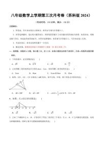 八年级数学第三次月考卷【测试范围：新教材苏科版八上第一章~第五章第三节】（考试版）
