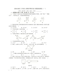 2024-2025年广东省东莞市八年级上学期期末数学试卷（含答案）