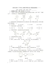 2024-2025年广东省东莞市八年级上学期期末数学试卷（含答案）