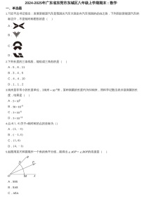 2024-2025年广东省东莞市东城区八年级上学期期末数学试卷（含答案）