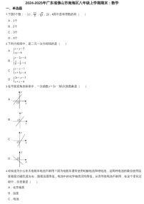 2024-2025年广东省佛山市南海区八年级上学期期末数学试卷（含答案）