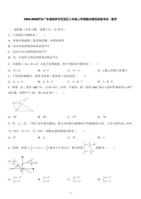 2024-2025年广东省深圳市宝安区八年级上学期期末数学试卷（含答案）
