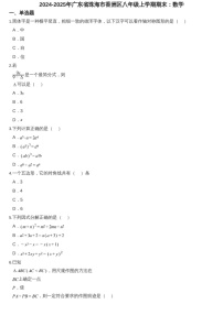 2024-2025年广东省珠海市香洲区八年级上学期期末数学试卷（含答案）