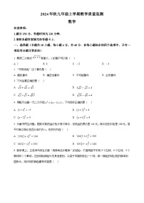 福建省泉州台商投资区上学期九年级数学期末试卷（原卷版）-A4