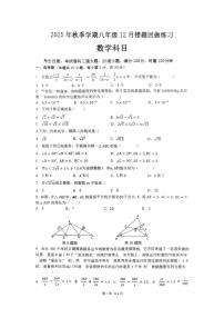 湖南省长沙市雅礼集团部分学校2025-2026学年八年级上学期12月月考数学试题