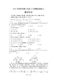 湖南省长沙市雅礼集团部分学校2025-2026学年八年级上学期12月月考数学试题