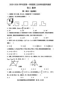 陕西省咸阳市彩虹学校2025-2026学年九年级上学期第三次月考数学试题