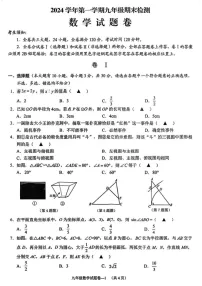浙江省金华市婺城区2024--2025学年上学期九年级期末考试数学卷