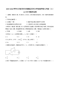2025-2026学年江苏省苏州市相城区苏州大学实验学校九年级(上)12月月考数学试卷-自定义类型