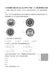 江苏省南京市联合体2025-2026学年八年级（上）期末数学练习试卷（含答案+解析）