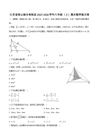 江苏省连云港市东海县2025-2026学年八年级（上）期末数学练习卷（含答案+解析）