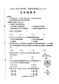 河南省周口市郸城县2025-2026学年九年级上学期12月月考数学试题