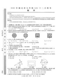 湖北省2025-2026学年九年级上学期12月联考数学试题