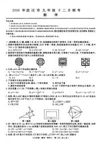 2026年武汉市九年级十二月联考 数学试题及··参考答案