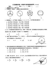 2025北京陈经纶分校初三上12月月考数学试卷