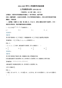 福建省漳州市2024—2025学年九年级上学期期末教学质量检测数学北师大版B卷（解析版）-A4