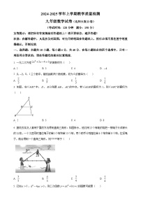 福建省漳州市2024—2025学年九年级上学期期末教学质量检测数学北师大版B卷（原卷版）-A4